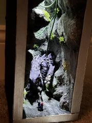 IMG_0342.jpeg