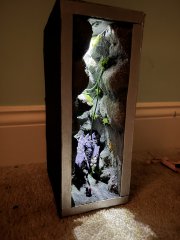 IMG_0343.jpeg