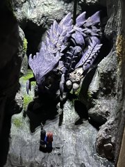 IMG_0344.jpeg