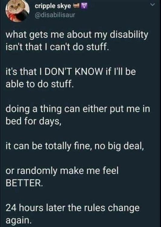 image.thumb.jpeg.3c724c7d4f939cb67e6a0647842b911b.jpeg