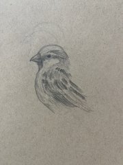 IMG_0023.jpeg
