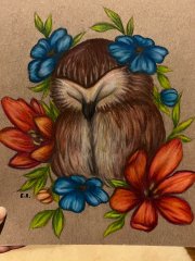 IMG_2003.jpeg