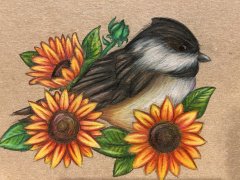 IMG_2061.jpeg