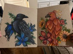 IMG_3722.jpeg