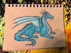IMG_5129.jpeg