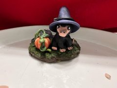 IMG_8969.jpeg