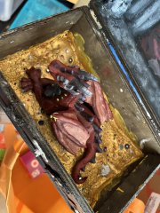 IMG_9324.jpeg