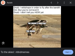 flight before lvl 8.png