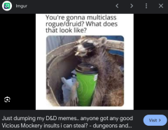rouge druid.png