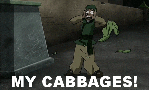 giphy.gif.db846a23366bbc0da98d633dd2e3eb77.gif