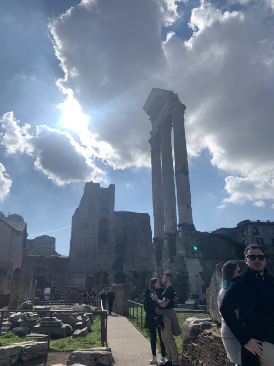 IMG_2592.jpeg