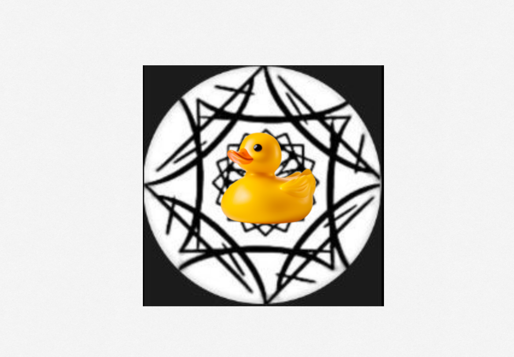 IMG_2948.png