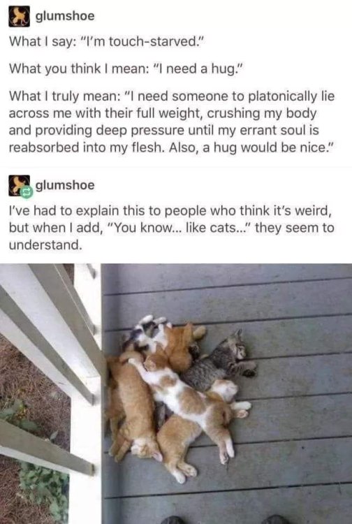 image.thumb.jpeg.0d5870b4b85892ed347d298944db3782.jpeg