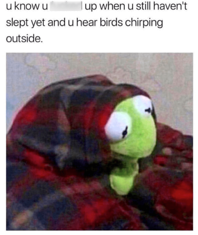 u-know-u-up-u-still-havent-slept-yet-and-u-hear-birds-chirping-outside.png