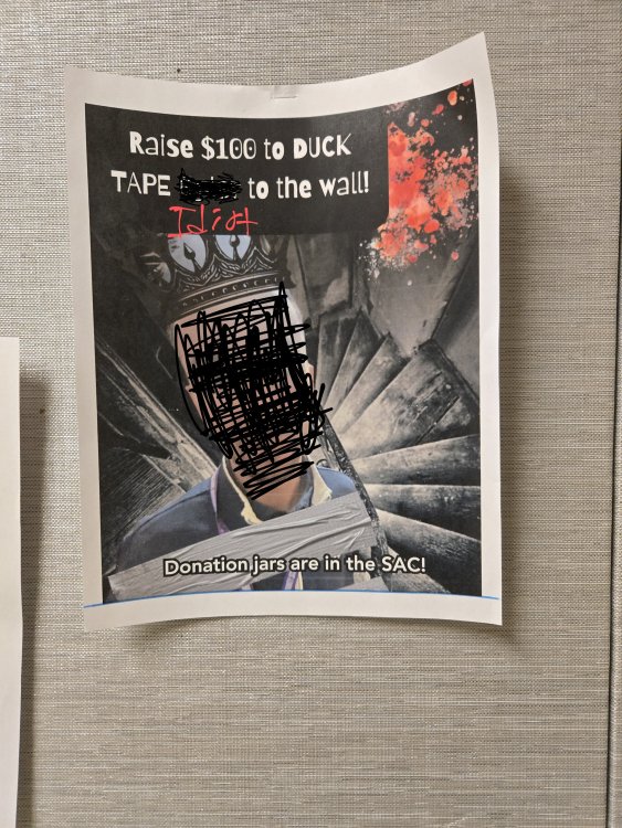 20250417_1017452.thumb.jpg.0faf9ba91834134185eb6b9622adf07c.jpg