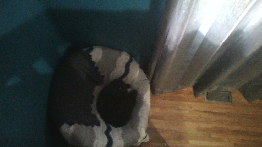 IMG13456.thumb.jpg.ff5bcfa2b112d2134ce56780287aaec6.jpg