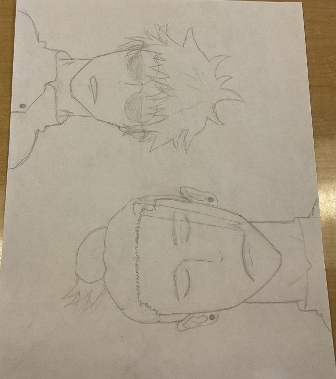 IMG_0484.thumb.jpeg.e5cf5566de89b43995eec15a350ac250.jpeg