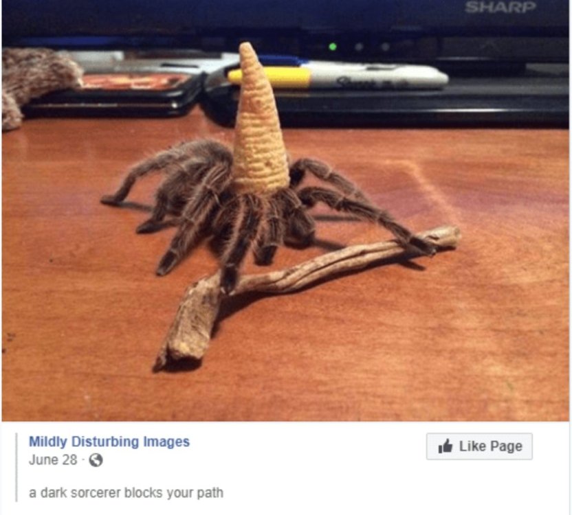 IMG_3490.jpeg