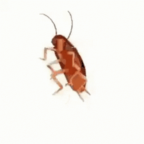 IMG_5379.gif.d82cafa39467a3953ec18d8294130133.gif