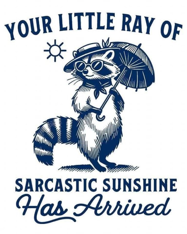 RaccoonSarcasticSunshine.jpg