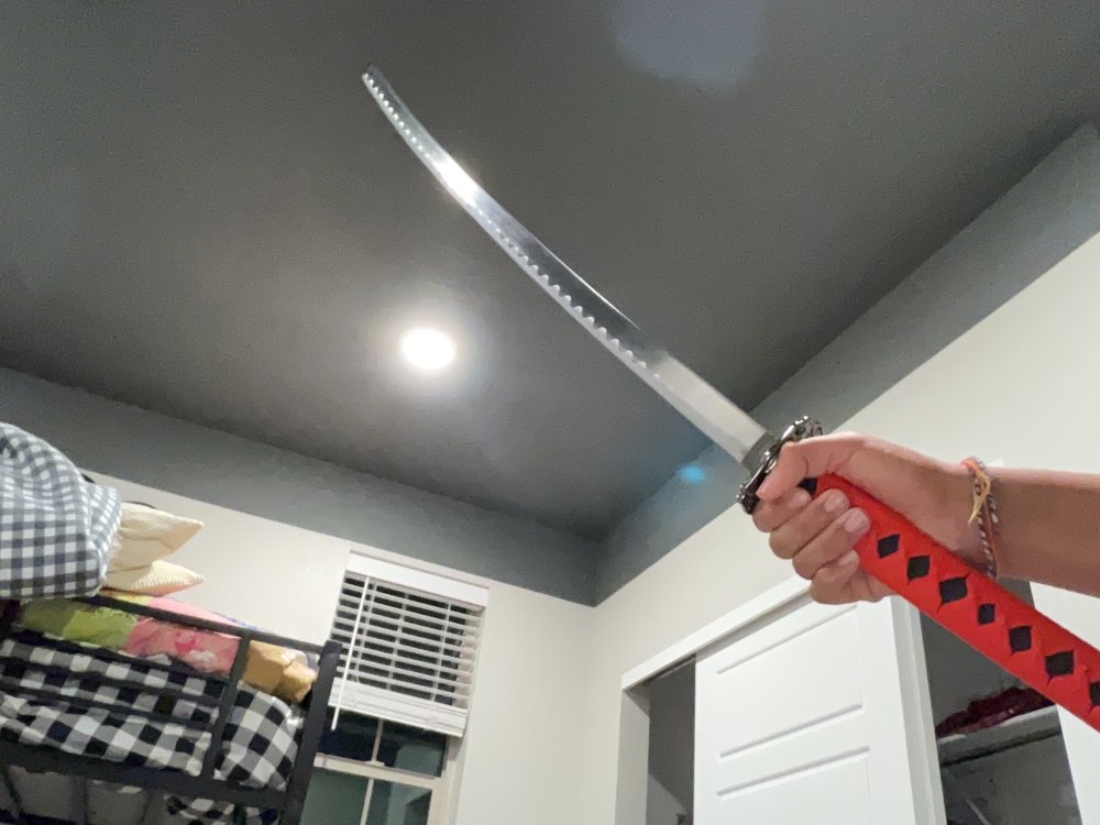IMG_1252.thumb.jpeg.f4f7dc1988a1003f7dfb8215adc06f54.jpeg