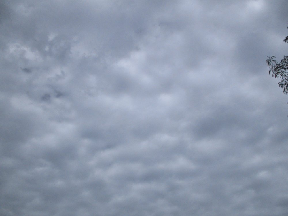 IMG_7228.thumb.jpeg.4e7ec3ea70e32d9fcd7fed7a014e7ff2.jpeg