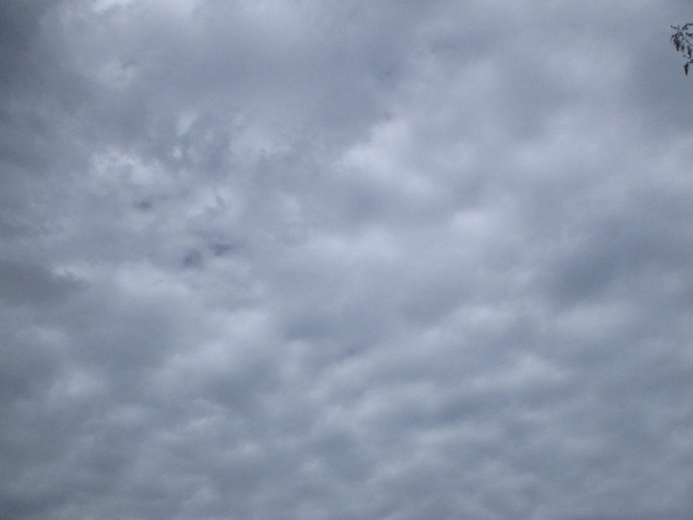 IMG_7229.thumb.jpeg.db3a56b057b2c6837b00067be221275b.jpeg