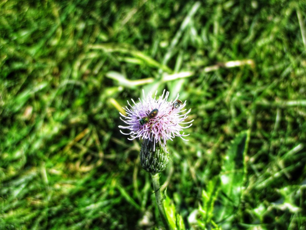 Snapseed.thumb.jpeg.2b28736117d9a5764ff42b700664bfe9.jpeg