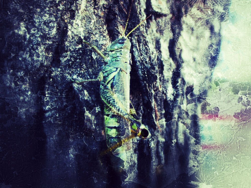 Snapseed.thumb.jpeg.7d025abbcb02711c693550a4a995e926.jpeg