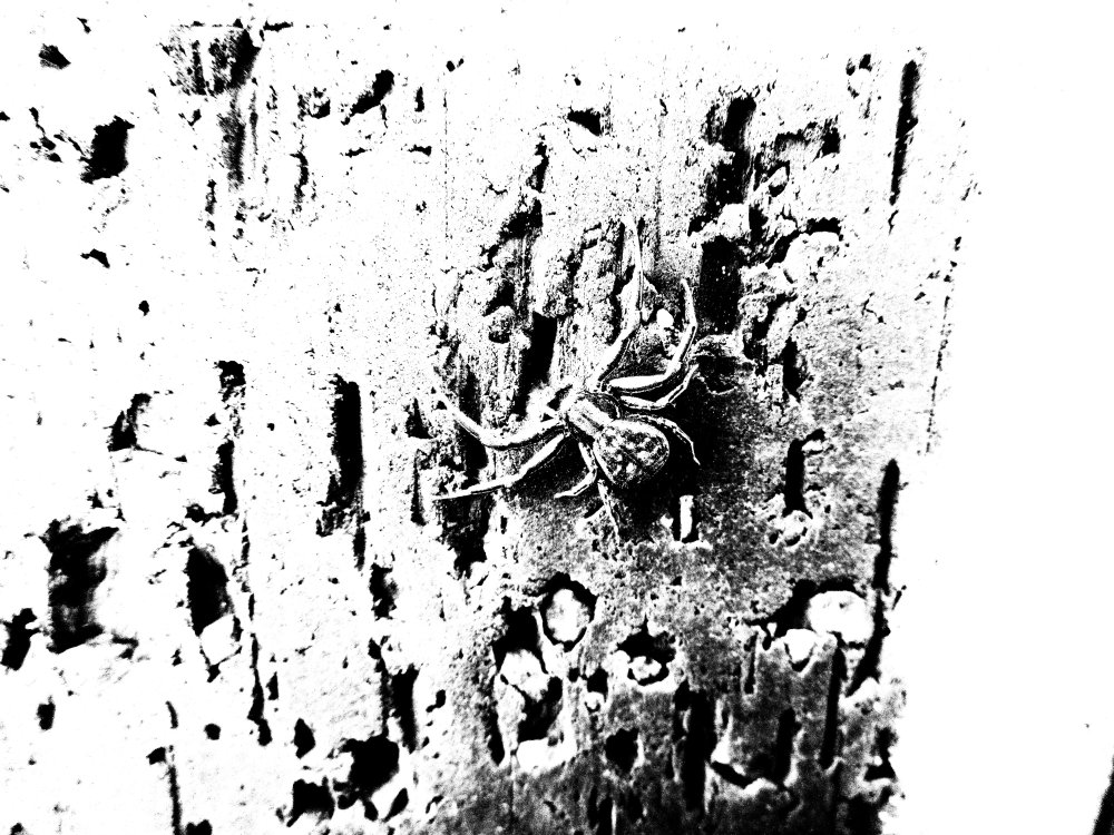 Snapseed.thumb.jpeg.c777aa364797efc72e67dba46db92d78.jpeg