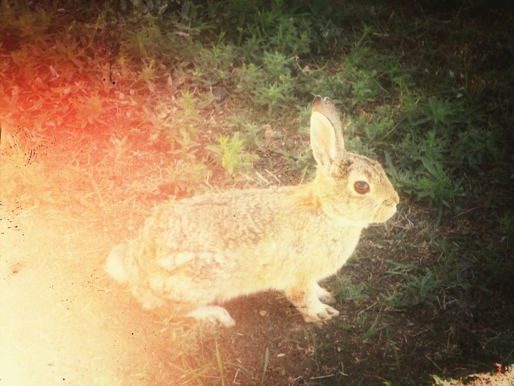 Snapseed.thumb.jpeg.f68e5602d109c52489ec6d2d334b0a07.jpeg