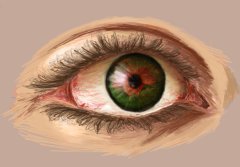 IMG_0264.png