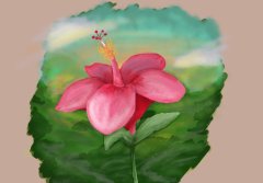IMG_0276.png