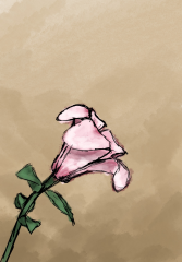 IMG_0420~2.png