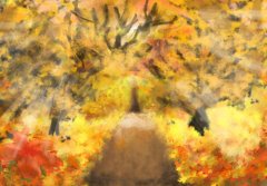 IMG_0424.png