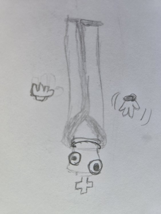 20250913_084926.thumb.jpg.0681ac1e0cae6ebb6d49d379d346ee17.jpg