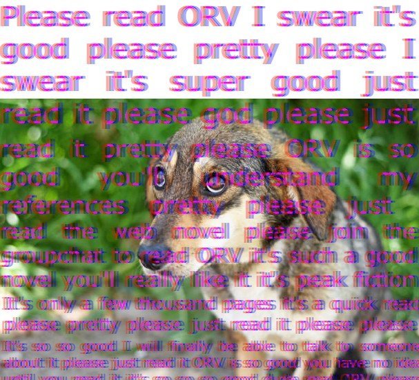 image.jpeg.c29b8832222767a3257ebae18933b59e.jpeg