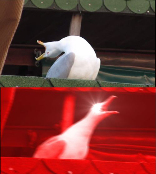 image.png.9d66120f92a2fcedf293a8bb0dd2da69.png