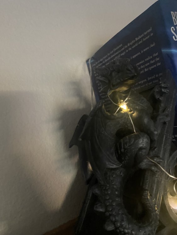 IMG_2056.thumb.jpeg.a3c94d413fd1b1c12144b43c0087e67a.jpeg