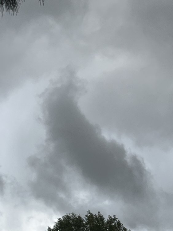 IMG_5081.thumb.jpeg.dc10eae4d62fb27a4abc8c0d3b1cf769.jpeg