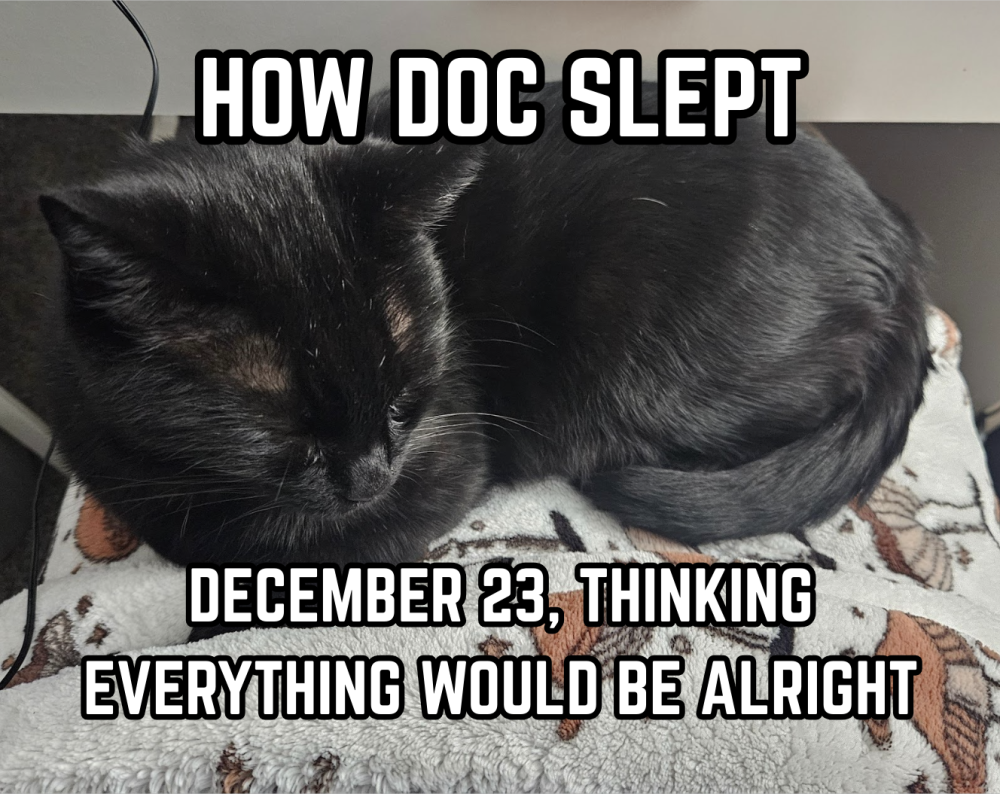 image.thumb.png.482e0a9dce1d2b5367728a6f93b80a1d.png