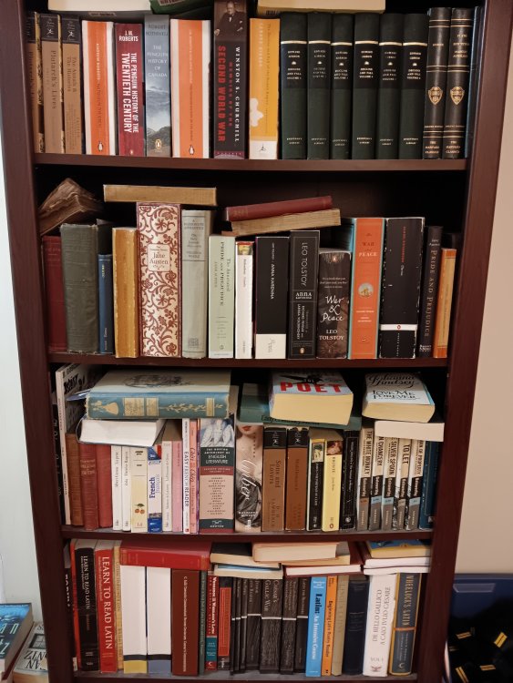 bookshelf.jpg