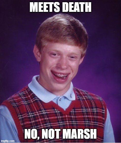 marsh.jpg.98266ec0e3f27cd93a5b2b426b0267ed.jpg