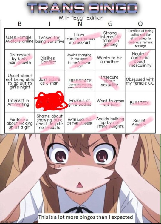 transbingo.thumb.png.b0afdd883c0aebb25c4d65dfb0c5e776.png