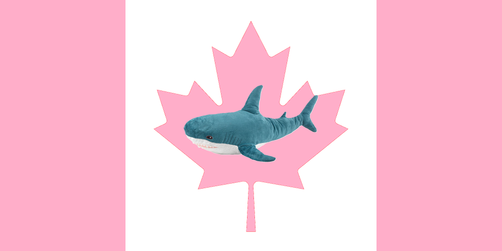 Flag_of_Canada.thumb.png.39bed63eb371a0ac5e521adf03005400.png