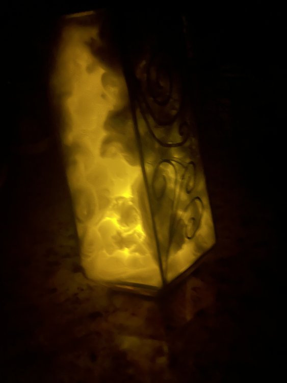 IMG_9116.jpeg