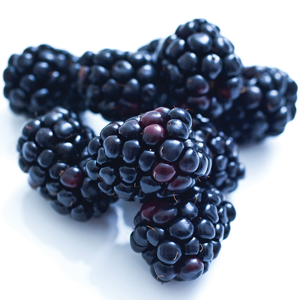 blackberries_commodity-page.png.d93bfa86e070a8999b653d609241dde3.png