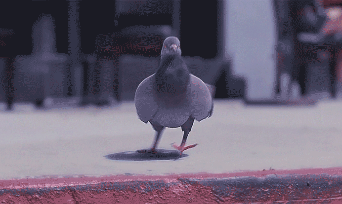 jean-1.gif.e3e4ad646c54ad3b8c1c357da1ded50e.gif