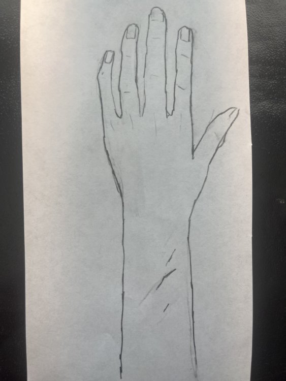 image.thumb.jpg.4408e800381c96e08d42789717dea1b4.jpg