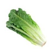 Questioning Lettuce